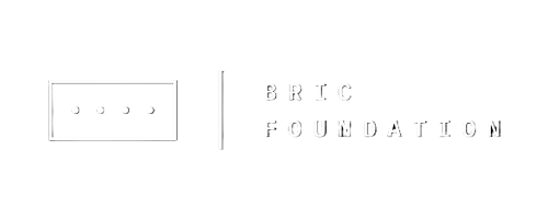Bric Foundation logo